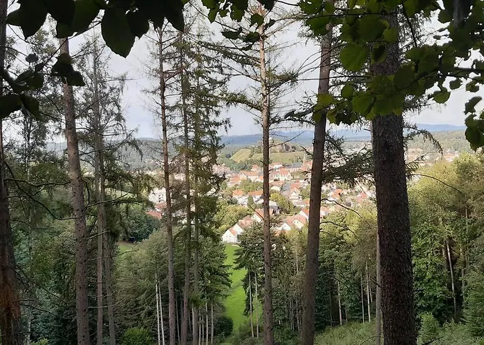 Du Verre Au Sabot 5 Etoiles Avec Privatif Soucht